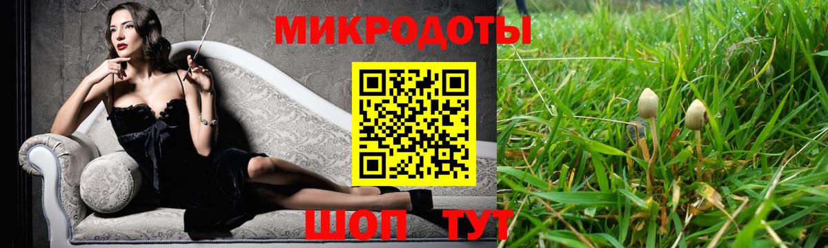 Галлюциногенные грибы Psilocybine cubensis Сызрань